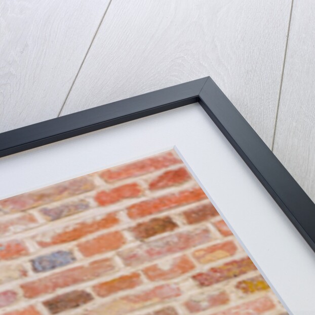 Brick Wall by Assaf Frank